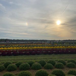 Meet your Posher, Mackenzie